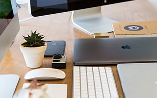 皖皖裴擒虎肉虎下山先收王昭君，狼队逐个击破打出一换四